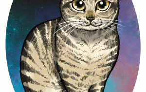 野良猫チビ - Yukari