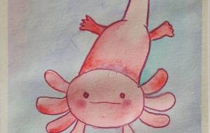 ウーパールーパー - 葉