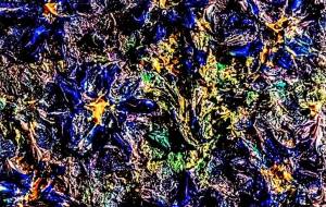 はな、デジタル、描こう。 - 久保田 俊