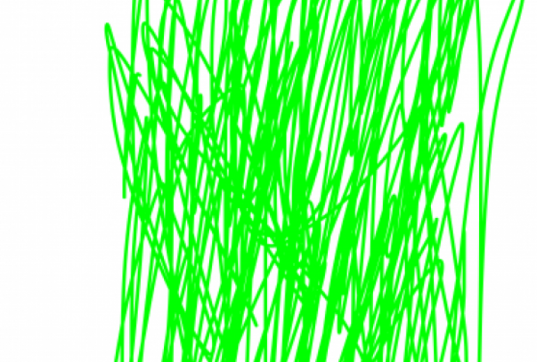 アール・ブリュット挑戦