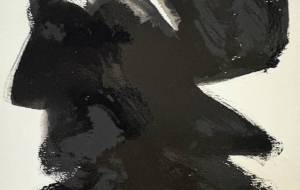 アール・ブリュット挑戦 - 笹谷正博