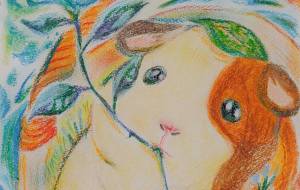 可能性を秘めて - 【イベント】可能性アートプロジェクト 2026 