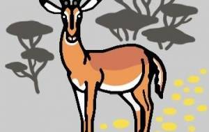 カオグロインパラ - 【イベント】可能性アートプロジェクト 2026 