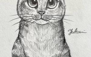 ちゃー坊 - Yukari