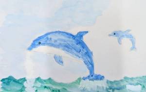 イルカ - Miyumomo 