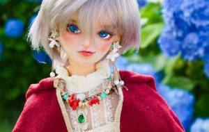 紫陽花 - 美南星  月 