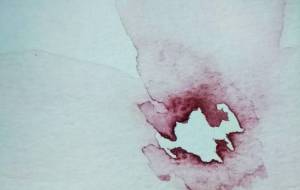 ピンク色の花 - ぴぴ 