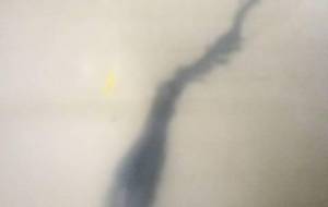 昆虫食品、例えば自然、コオロギ(廃棄物の段ボールに描いた) - 真鍋哲地