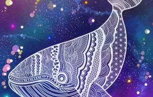 宇宙のクジラと虹色の祈り - 【イベント】わたしのSDGs宣言 