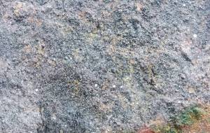 さくら - 久保田　俊 