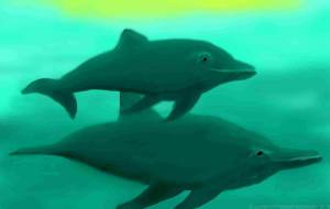 海洋 - 【イベント】わたしのSDGs宣言 