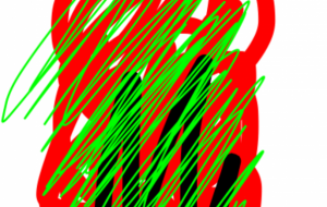 アール・ブリュット挑戦 - 笹谷正博