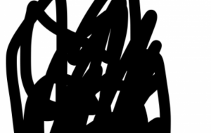 アール・ブリュット挑戦 - 笹谷正博