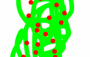 水分補給しっかりと - 笹谷正博 