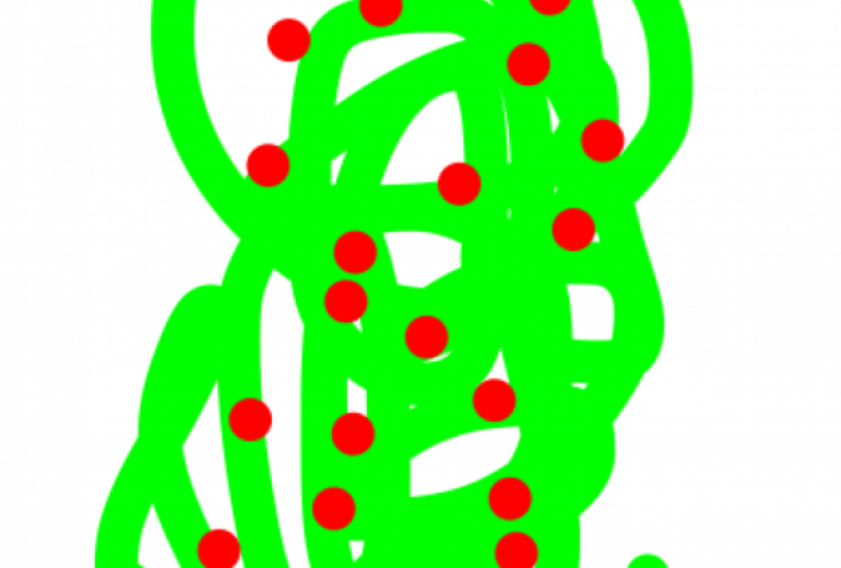 水分補給しっかりと