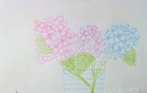 涼しげなあじさい - marina♡ 