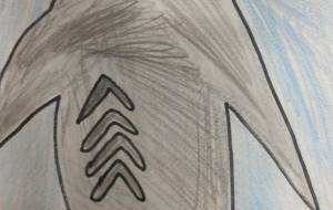 サメ - 【イベント】可能性アートプロジェクト 2026 