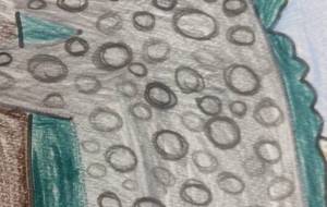 雪豹 - 【イベント】可能性アートプロジェクト 2026 