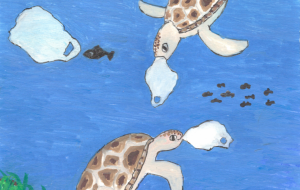 捨てるゴミが動物達の胃へ - 【イベント】わたしのSDGs宣言 