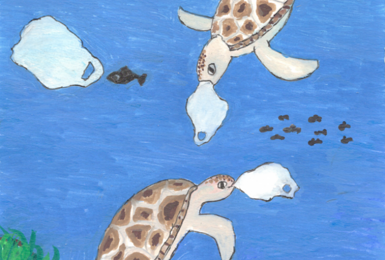 捨てるゴミが動物達の胃へ