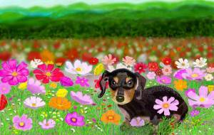 チョコ - 【イベント】可能性アートプロジェクト 2026