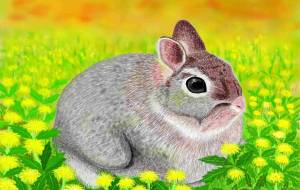 いただきます - 【イベント】可能性アートプロジェクト 2026 