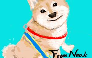 見上げるわんこ - nao.k