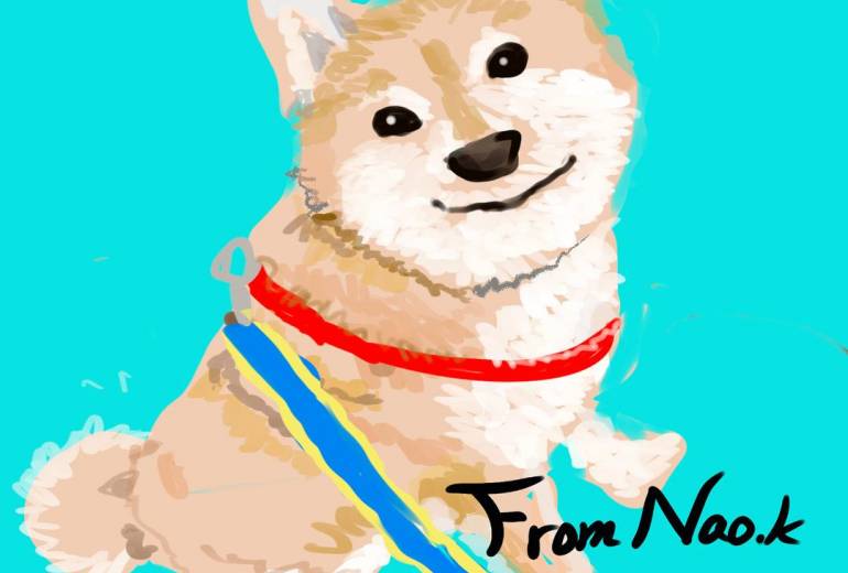 見上げるわんこ