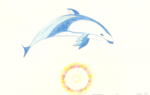 イルカの心の輪 - 【イベント】可能性アートプロジェクト 2026