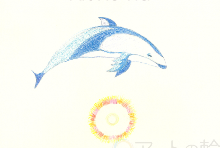 イルカの心の輪