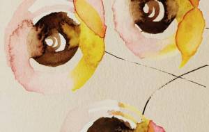 さんしょくばら　加工済み - ぴぴ 