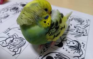 どうやら、モデル料を渡さないと動かないらしい(¯―¯٥) - あおい 