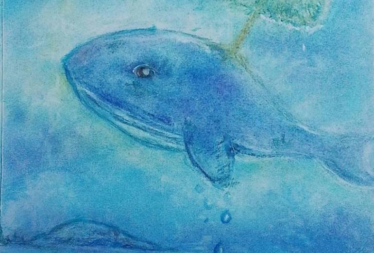 海の守護(SDGs目標14 )