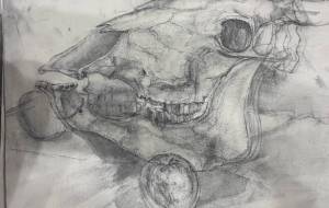 牛骨とリンゴ - オレック 