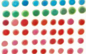 パステルカラー - naomi