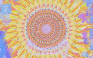 あなたを見つめる - 【イベント】わたしのSDGs宣言 