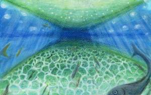 清流 - 工房はんど アキ