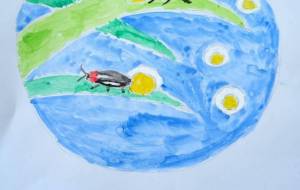 ホタル - Miyumomo 