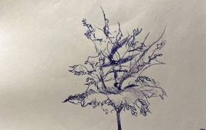 自然 - 【イベント】わたしのSDGs宣言