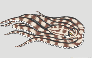 カレイ - 【イベント】可能性アートプロジェクト 2026 