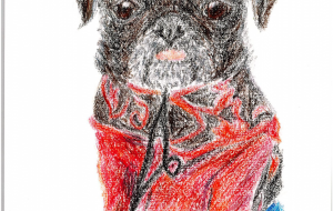 中華街のパグ - 雪柳 