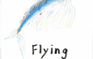 トビウオ - 雪柳 