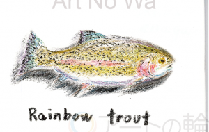 ニジマス - 雪柳