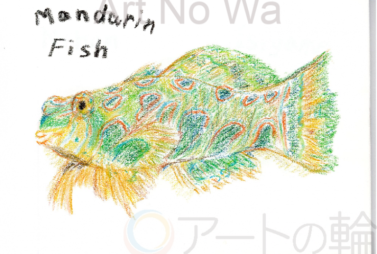 マンダリンフィッシュ
