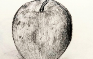 林檎 - CHITOSE FUJI