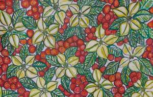 山法師と実 - satti 