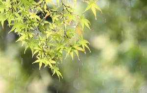 そぼ降る中で - おくや　まさき 