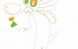 クジャク - ツバサ