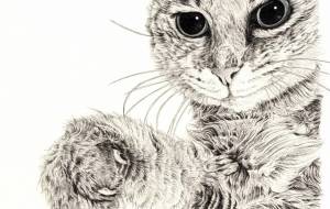 招き猫2022 - 山田貴裕