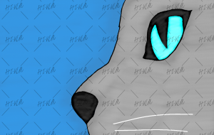 ロシアンブルー - 聖羽SEIHA